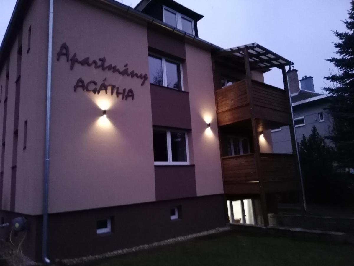 Apartmany Agatha Лоучна-над-Десноу Екстер'єр фото